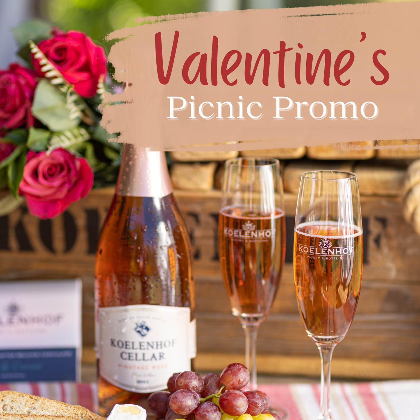 Valentine's Day Picnic Promotion